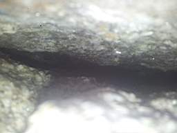 sandymount tower-16470.jpg